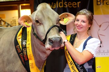Regina Dilger, amtierende Braunviehknigin