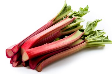 Foto: Fischer/shutterstock