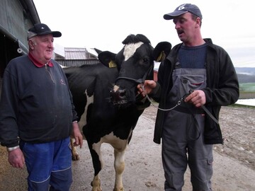 Wir beobachten unsere Khe genau und achten darauf, dass wir sie mit sehr hochwertigem Futter fttern, machen Werner und Holger Bertsch deutlich. Die Holsteinzchter brechen auf ihrem Pfitzhof seit Jahren smtliche Rekorde bei der Langlebigkeit ihrer Khe.