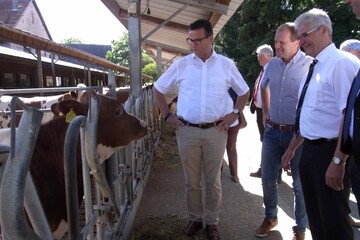 Auf der Eselsmhe dreht sich alles um die tiergerechte Haltung der Wiederkuer. Darber informierten sich Agrarminister Peter Hauk (l.) und der CDU-Landtagsabgeordnete Klaus Burger (r.) im Gesprch mit Betriebsleiter Thomas Zimmerer (Mitte).