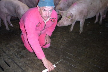 Hermann Frber, Ferkelerzeuger in Bhmenkirch
