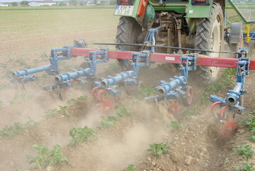 Wenn chemische Mittel gespart werden sollen, kann eine mechansiche Unkrautbekämpfung helfen - hier mit der Rollhacke.