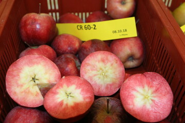 Nicht nur die Apfelschale, auch das Fruchtfleisch kann zum Marketinginstrument für den Apfelverkauf werden.