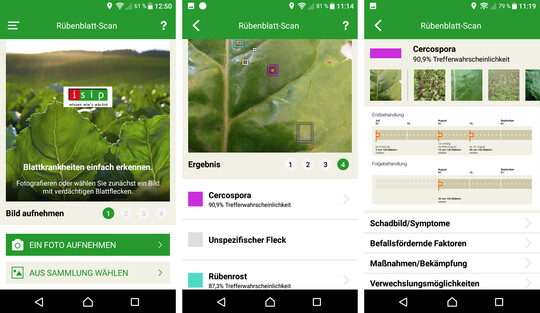 Mit der neuen Rbenblatt-App knnen Blattkrankheiten einfach und schnell bestimmt werden.
