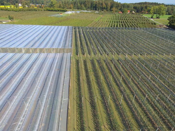 Modellanlage am Kompetenzzentrum Obstbau Bodensee (KOB) zur Prfung, inwiefern durch eine geschtzte Produktion mit Folienberdachung und seitlichem Insektenschutznetz Pflanzenschutzmanahmen im Apfelanbau reduziert werden knnen.