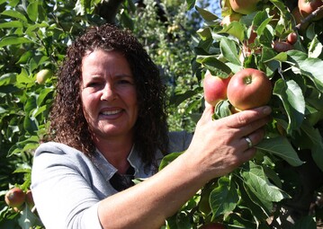 Tolle pfel mit toller Qualitt: Anette Nanz vom gleichnamigen Obsthof in Stuttgart-Uhlbach mit bald erntereifen pfeln der Sorte Elstar.