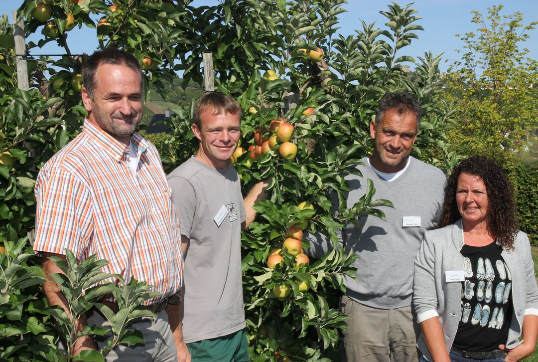 Fachleute fr Obstbau und Obstmarkt in Stuttgart-Uhlbach, von rechts: Anette Nanz, Markus Nanz, Christian Hrnle und Andreas Siegele. 
