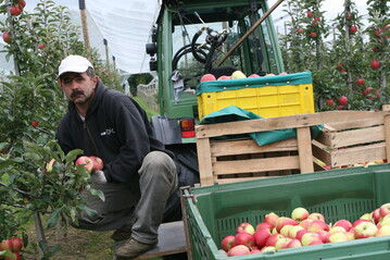 Bei der Beschftigung auslndischer Erntehelfer ndert sich in diesem Jahr kaum etwas. 