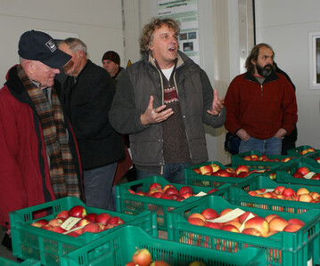 Am KOB testet Sortenkundler Dr. Ulrich Mayr alljhrlich eine Vielzahl neuer Sorten. 