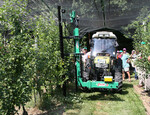 Maschineller Baumschnitt: Mit Doppelmessern ausgestattetes Schneidegerät begrenzt das Wachstum von Apfelbäumen seitlich und in der Höhe.