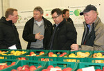 Bei der Vorstellung der Sorten-Prüfergebnisse am KOB konnten sich die Obstbauern über Aussehen und Geschmack der einzelnen Sorten austauschen.