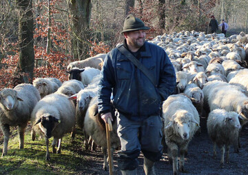 Schfereien bieten Lammfleisch, Wurst und Kse von Ziege und Schaf im Genuss vom Schfer-Shop an.