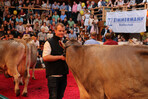 Schaulaufen im Ring: Viele namhafte Züchter, wie hier Christof Bentele aus Grünkraut, waren mit ihren Kühen am Start.