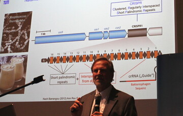 Professor Siegfried Scherer, TU Mnchen, erklrte Crispr/Cas-Methode am Milchsurebakterium zum Joghurt machen, an Streptococcus thermophilus. Das Bild zeigt eine Reihenfolge von Genen, darunter das sogenannte Cas 9, ein aktives Molekl, mit dem Gene zerschnitten werden knnen und den Crispr-Teil.