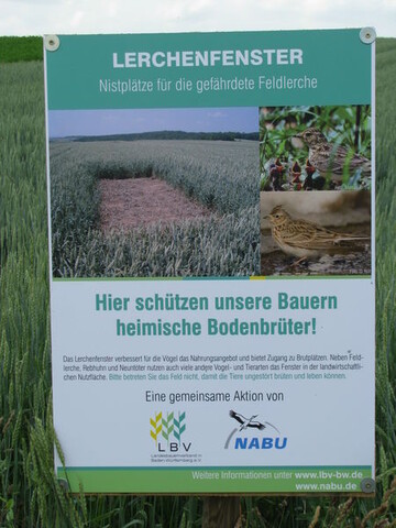 Lerchenfenster fr Baden-Wrttemberg: 2009/10 legten bereits 143 Bauern im Land 782 Lerchenfenster an - ein erfolgreicher Start der Aktion von LBV und Nabu.