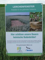 Lerchenfenster-Schild von Bauernverband und Nabu bei einem Pressegespräch im Juni 2009 im Landkreis Tübingen