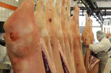 Viele Metzgerbetriebe wollen ihren Spielraum in der Preisgestaltung nutzen und den Schweinemstern mit Zuschlgen und Mindestpreisen helfen.