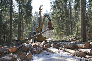Seilkrananlagen sind in Weichbodengebieten eine sehr bodenschonenden Variante der Holzbringung. Die Aufarbeitung, hier mit einem Gebirgsharvester, kann dann an der Waldstrae erfolgen. 