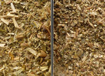 Maissilagen im Vergleich: Links eine Shredlage mit 26 mm Häcksellänge, rechts eine Maissilage mit 8 mm.