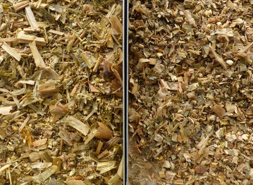 Maissilagen im Vergleich: Links eine Shredlage mit 26 mm Hcksellnge, rechts eine Maissilage mit 8 mm. 