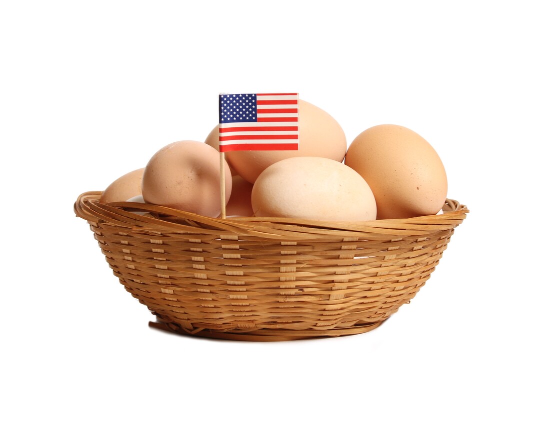 Die großen US-amerikanischen Eierproduzenten mussten 2022 aufgrund der Geflügelpest Verluste bei den Legehennenbeständen hinnehmen.