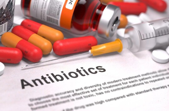 DieAntibiotikaanwendungsmengenbei Masttieren ging in den letzten Jahren zurck.