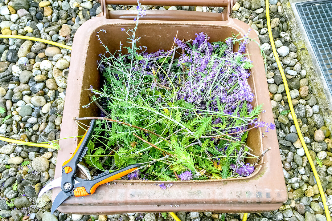 Biotonnenkomposte sind schwierig, weil die Leute alles Mgliche in die Biotonne werfen.