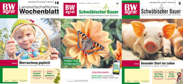 Die Siegerbilder