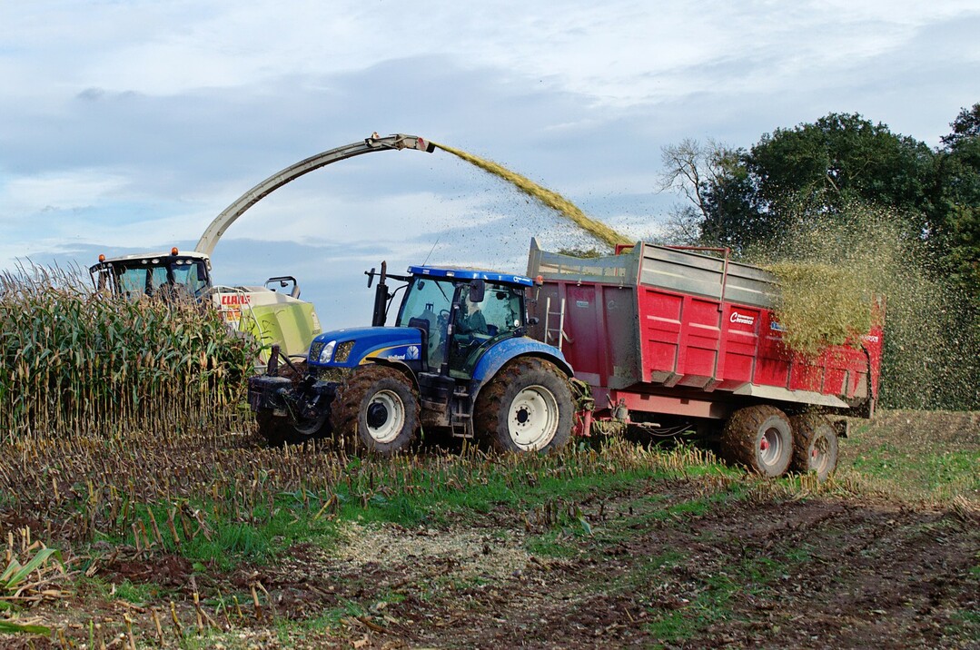 Silage
