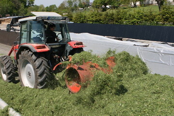 Die extreme Witterung hat die Silagebereitung verzgert. Selbst bei besserem Wetter ist nun von erschwerten Bedingungen auszugehen, da die Milchsurebakterien und vielleicht auch der Zucker zur Silierung fehlen. 