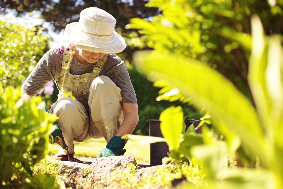 Foto: Lund - shutterstock