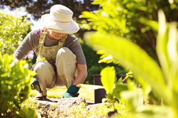 Foto: Lund - shutterstock