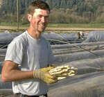 Sonderkulturen sind noch mehr als die klassischen landwirtschaftlichen Früchte vom Markt und vom Klima abhängig.