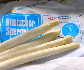 Erster deutscher Spargel aus Bruchsal: Bis Ostern bleiben die Mengen voraussichtlich gering. Ab Mitte April wird mit greren Mengen gerechnet.
