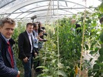 Beim Betriebsrundgang im Gewächshaus.