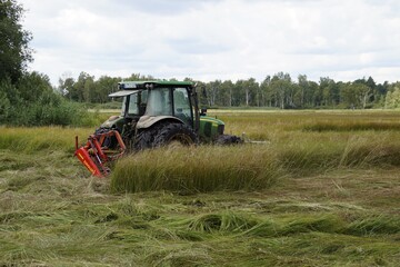 Mhen in hohem Gras. Liegende Tiere sind hier vom Traktor aus schwer sichtbar.