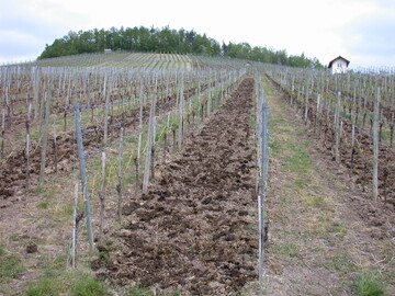 Um Geruchsbelstigung zu vermeiden, sollten organische Dnger wie Stallmist und Kompost mglichst bald eingearbeitet werden.