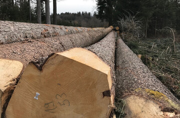  Die Preisentwicklung auf dem Holzmarkt war in den vergangenen Monaten turbulent. Auch fr 2022 ist eine Einschtzung derzeit schwierig.