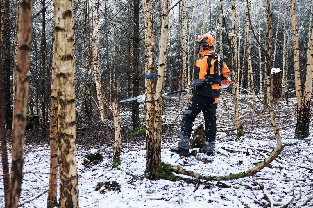 Die leistungsstarke Forstpflegesäge lässt sich exakt führen und ermöglicht ein komfortables Arbeiten im Stehen bei der Jungbestandspflege oder der Mischwuchsregulierung im Wald.