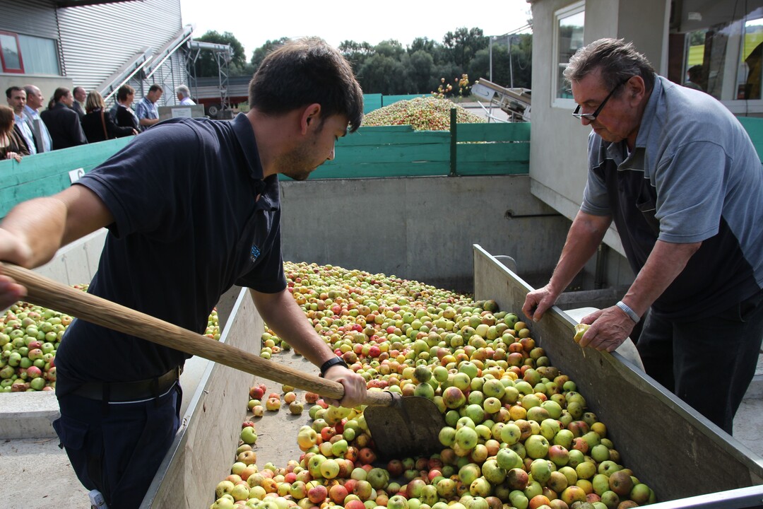 Wer ohne Vertrag Mostobst produziert, hat mit der Abnahme meist keine Probleme, muss aber Tagespreise akzeptieren. Wer Erzeugungsrichtlinien nicht scheut, fährt preislich mit einer Streuobstinitiative besser. Aber es bestehen Wartelisten.
