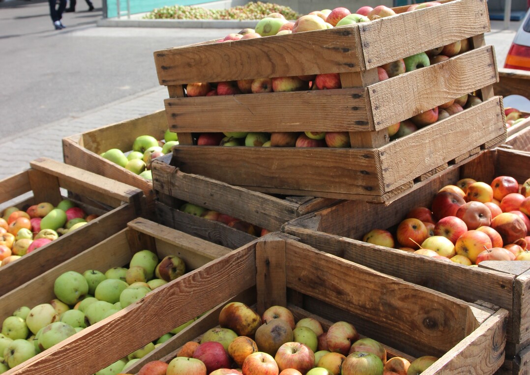 Insbesondere in Baden-Württemberg werden 2017, wegen der Aprilfröste, deutlich weniger Äpfel geerntet.