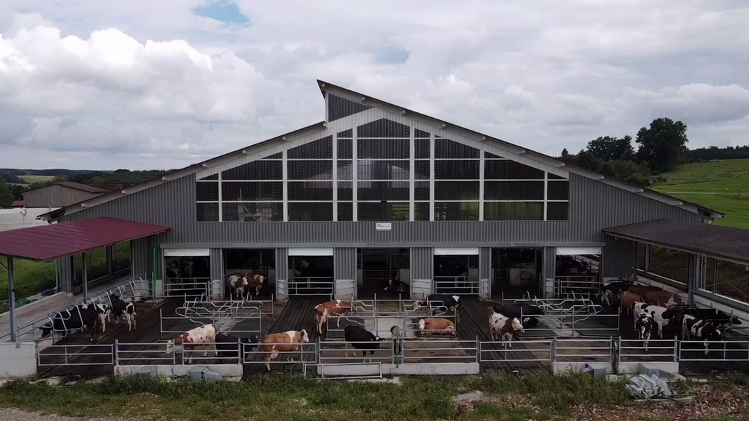 Der Laufhof in diesem EIP-gefrderten neugebauten Milchviehstall wurde strukturiert. Die Khe knnen dort fressen, liegen und umherlaufen.