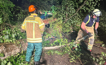 Umgestrzte Bume und herabfallende ste haben in der Gewitternacht groe Schden verursacht.