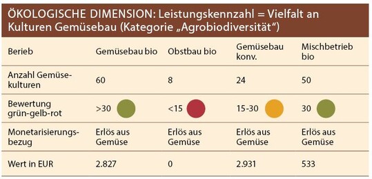 Die Tabelle zeigt, wie aus den Daten, die für die Leistungskennzahl „Vielfalt an Kulturen Gemüsebau“ eingetragen wurden, ein Geldwert berechnet wird.