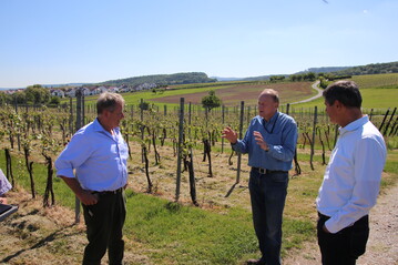 Gemeinschaftstaxe in Lwenstein: Joachim Rukwied (Mitte) im Gesprch mit Dr. Rainer Langner (r.) und Ulrich Eppler.