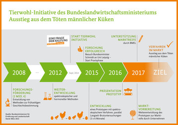 Zeitplan des Forschungsprojekts "In-Ovo-Geschlechtsbestimmung" seit dem Start 2008 bis zum Ausstieg aus dem Kkentten