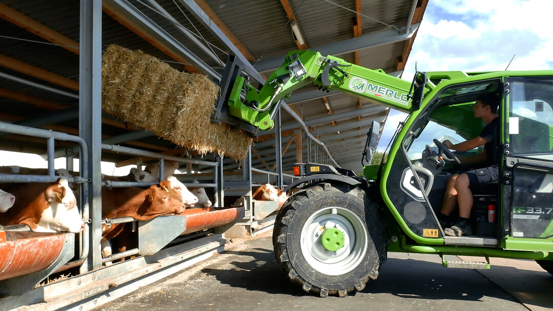 Gefragt ist die Maschine berall dort, wo es etwas zum Fttern und Ausmisten gibt wie bei Milchviehbetrieben. In Reitanlagen bergen sie Stroh- und Heuballen. Bei Hhnchen- und Putenmstern passen sie gut in die niedrigen Stallanlagen. Kommunen setzen wegen ihrer kompakten Abmessungen, der hohen Leistungswerte und den vielen Einsatzmglichkeiten zunehmend auf die kleine Merlo Baureihe.  