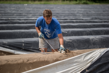 Nutzen Sie gruener-stellenmarkt.de!
