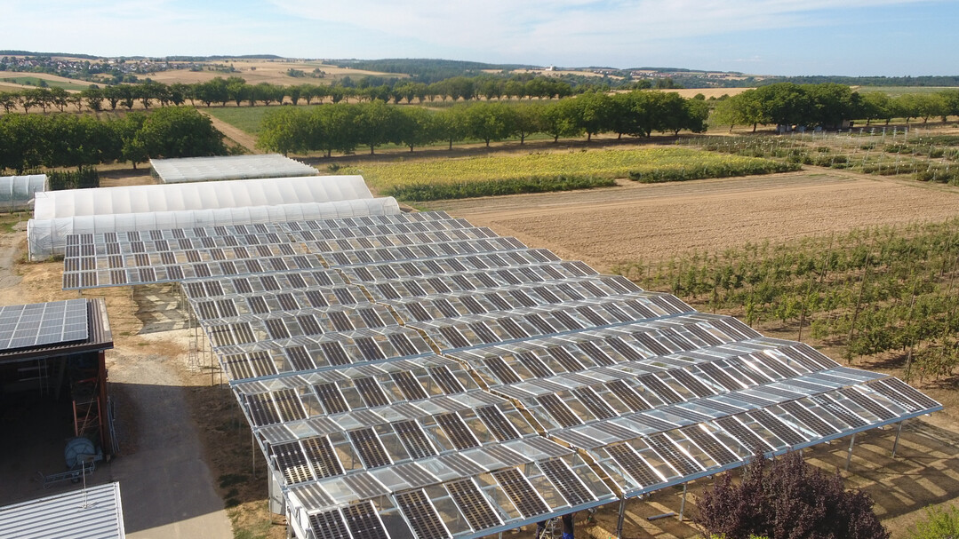 Agri-PV Pilotprojekt in Oedheim in Baden-Wrttemberg