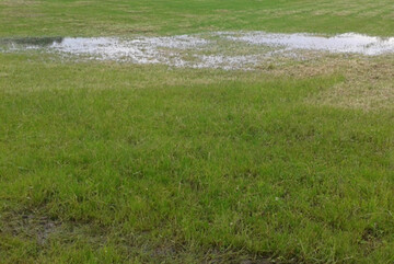 �berst�ndiges Futter von �berschwemmten Fl�chen ist nicht einfach zu konservieren. Soll kein Heu bereitet werden, k�nnen Siliermittel bei der Konservierung im Silo helfen. 